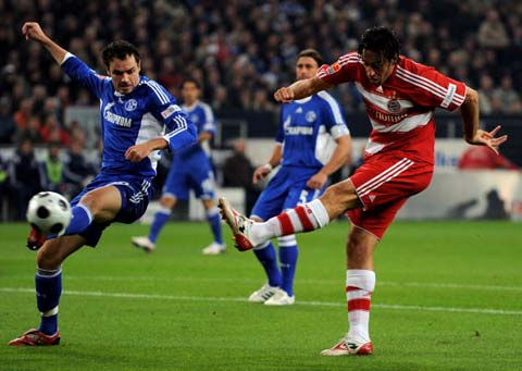 尽管日本已 尽管日本已