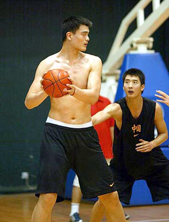 中卫组合 中卫组合