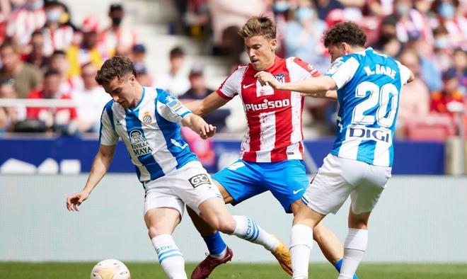 從1勝9負到三連勝 薛思佳 感慨換帥如換刀 上海男籃煥然一新.