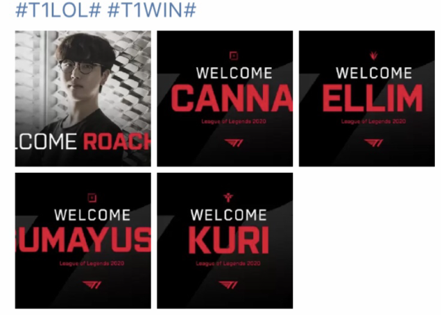 缝衔接红土 缝衔接红土